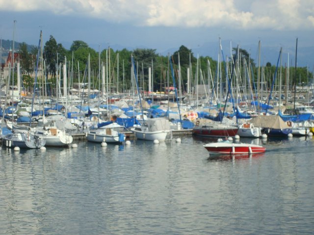 lausannepen_2011 33